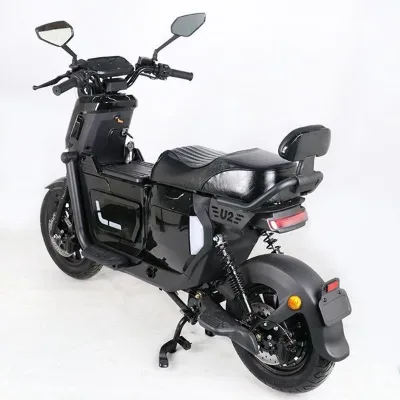 Factory Price City E-Bike Dutch Carbon Xp Cargo 1000W 60V Electric Bike City Bike Electrique Moto With Easy Assembly