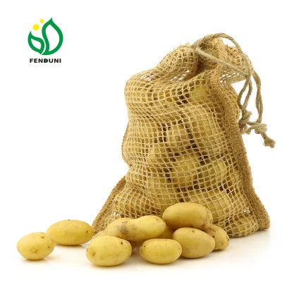China Sweet Potato Export and Import (40ft Container)