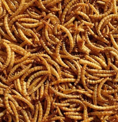 High-Protein Dry Cotton for Small Animal Skin & Coat Health-Wholesaler PET Food Source