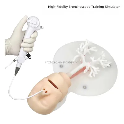Bronchoscopic Training Model - Hard Material Tracheal Training Model