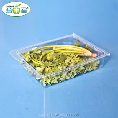 Manufacturer Herb Plastic Packaging Container Herb Packaging Tray Herb Clamshell of 22g