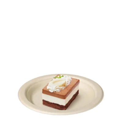 Uniecocus Small Bagasse Paper Plates 100 Pack 6 Inch 100% Compostable Eco Friendly Disposable Wedding Dessert Plates Brown