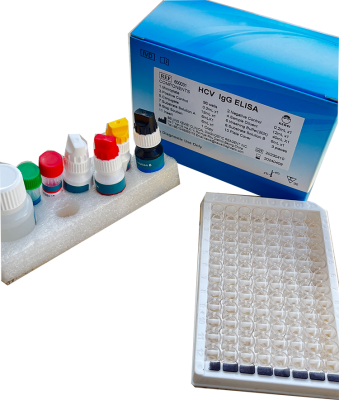 Research Use Only ELISA test Human Anti-neutrophil Cytoplasmic Antibody (cANCA Ab) ELISA KIT
