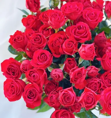 Wholesale High Quality Fresh Cut Spray Rose Red Bubble Flowers 10pcs/bunch 70cm for Wedding Home Party Decoration