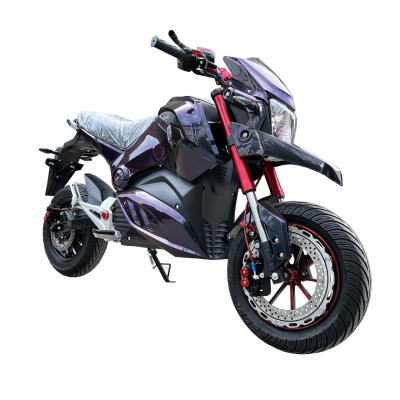 Super Electric Motorcycle Sport Bike with EEC COC