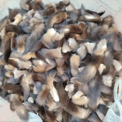 Factory Wholesale Big Quantity Natural Wild Russian Sable tails