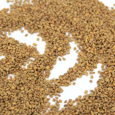 High Quality Wholesale Dried Celery Seed Herb Raw From Guangxi China-30kg Specification