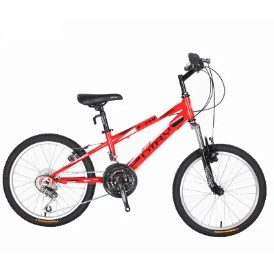 OEM Chinese Gt Mountain Bike Frame Mountain Bike Small Bike Groupset Mtb for Men