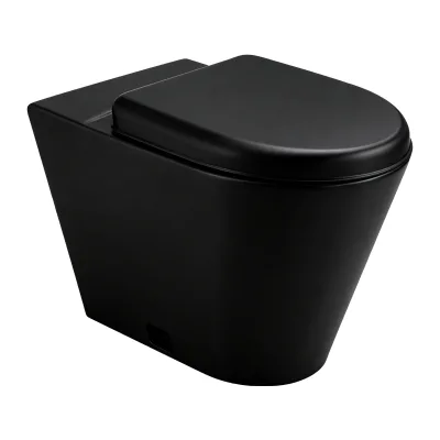 Kuge Matte Black Powder Coated Stainless Steel Toilet One-Piece Floor-Mounted Water Closet for Luxury Hotel Commercial Bathroom