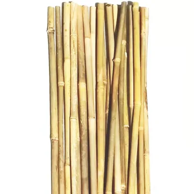 Diy Bamboo Moss Pole Stick for Monstera Plant Poles Climbing Plants Support Indoor Plants