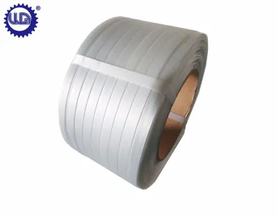High Tenacity 19mm Composite Cord Polyester Strap in Hot Sale