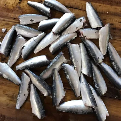 HGT Frozen Sardine for Cannery Industry