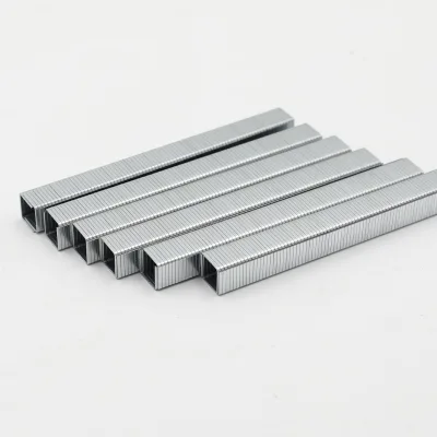 Factory Supply 20Ga A11 Type Upholstery Staples for Arrow T50 Tacker