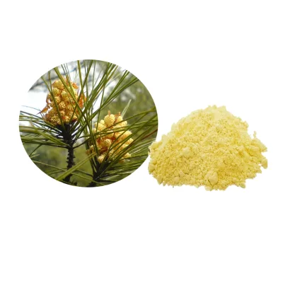 Pine Pollen Powder Pine Pollen Extract Powder