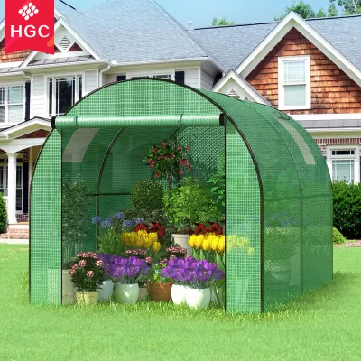 Low Cost Tunnel Walk-in Greenhouse Agricultural Tunnel Greenhouse