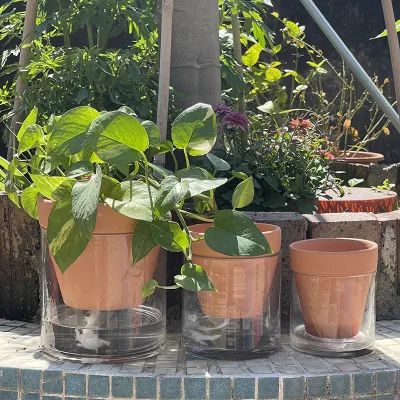 Modern Large Eco-Friendly Glass Flower Water Pots with Water Level Indicator Self Watering Plant Stand for Herbs & Hanging