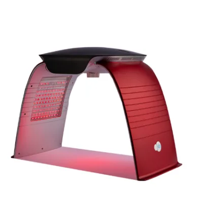 7 Colors Pdt Led Photon Light Therapy Machine with Steamer Skin Care 7 Color Pdt Led Light Therapy