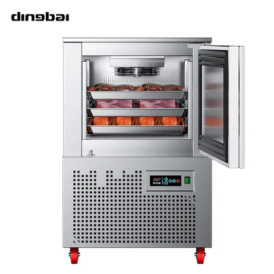 Commercial Rapid Freezing Cabinet Ultra-low Temperature Freezer for Merat and Global Free Shipping to the Port