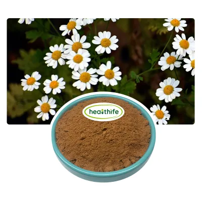 Healthife Factory Wholesale 1%-5% Parthenium Natural Feverfew Herbal Extract Powder
