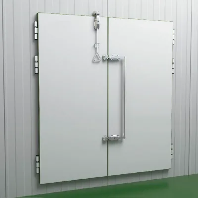 Custom PU-Panel Semi-Recessed Doors for Cold Storage Rooms, Polyurethane-Insulated Swing Doors for Cold Storage, Double Doors