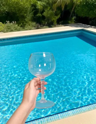 Stylish Durable Eco-Friendly Plastic Wine Glasses Party Essential