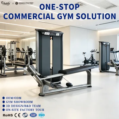 Guangdong Commercial Fitness and Entertainment Fitness Wholesale Weight Training Equipment Gym Design Interior Custom logo