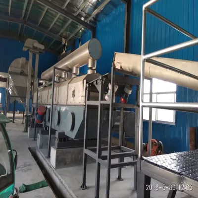 Rock Salt Crushing Cooking Salt Production Plant Sea Salt Screw Washing Vibrating Fluid Bed Drying Production Line