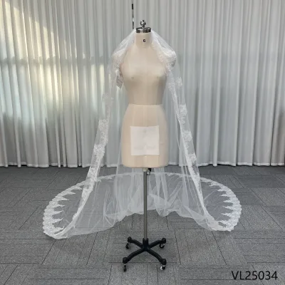 Elegant Bridal Veil High Quality Chantilly Lace Trim Veil Long Train Veil for Bride 3M Single Layer With Comb
