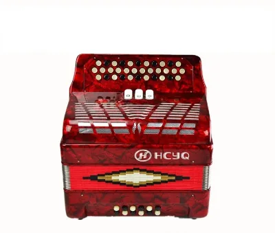 Factory Direct Sales 34 Keys 12 Bass Button Keys Exquisite Practical Accordion