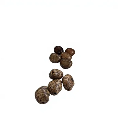 Natural Star-Moon Bodhi Seed Bracelet Raw Seeds Loose Beads DIY Half-Handmade Buddhist Prayer Beads Oval Shape 108-Bead Raw