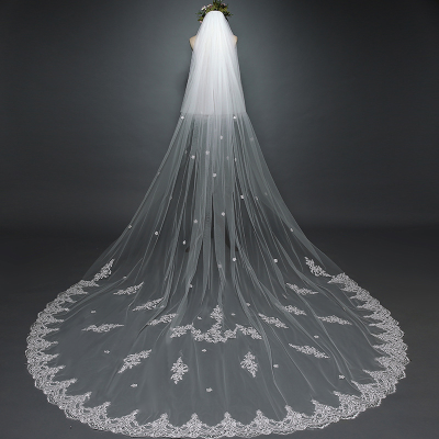 Latest White Wedding Dress Tail Veil Bride Long Lace Veil 3M Veil Fashion Wedding Accessories