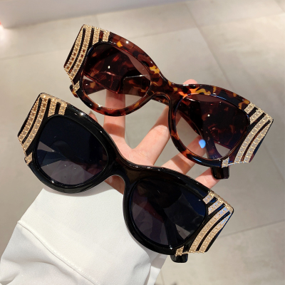 Hot Selling Women Oversized Transparent Cat Eye Sunglasses Luxury Shades Trendy Sunglasses for Women