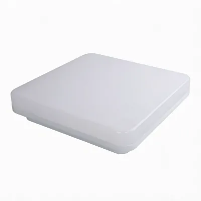 6000K IP65 IK08 LED AC European Style Square Ceiling Light 18W 24W 30W Ra90 2-Year Warranty for Home Living Room SAA