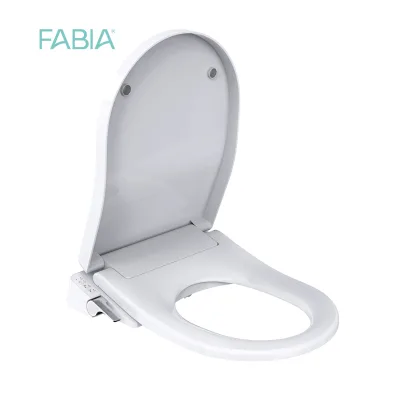 FABIA CE Certified Wholesale Automatic Ceramic Commode Electric Bidet Simple Design pp Instant Warm Lid Auto Heated...