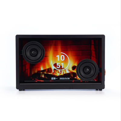 Multifunctional Hifi Subtitle Audio Subwoofer Transparent Rgb LED Wireless Active Speakers the Lyric Karaoke Speaker
