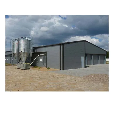 Pre-engineered Steel Structure Turnkey Project Poultry Farm Design for Sale
