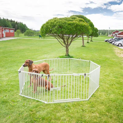 Aluminum Pet Playpen Dog Playpen