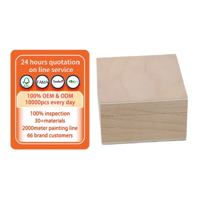 Removable Dividers for Kitchen 2 Pack | Bamboo Pantry Storage Organization for Spice Packets, Seasoning Pouches