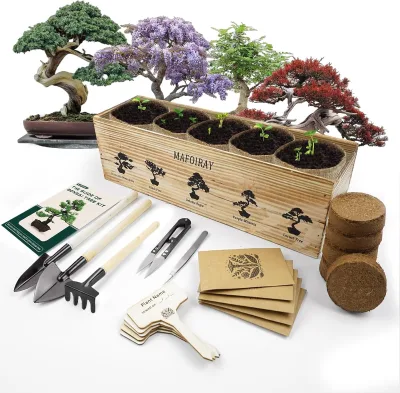 Japanese Bonsai Tree Kit for Indoor Garden Farmhouse Design Floor Usage with Pots Planter Tools and Nursery Growing