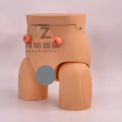 New Male and Female Exchange Catheterization Model, Medical Teaching and Training Model
