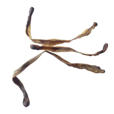 Wholesale Dried PHERETIMA Body Natural Dry Pheretima Aspergillum for Herb