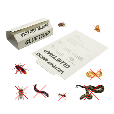 CHINA Zhejiang Factory Direct Wholesale New Design Environmental Mousetrap