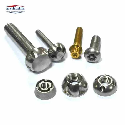 Factory Direct Custom Stainless Steels M3 M4 M6 M8 M10 AntiTamper Proof Screws Anti Theft Screw Security Screw