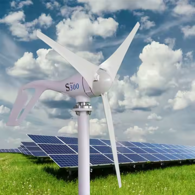 Hot Sale Reasonable Price With 300w Horizontal Axis Wind Turbine off Grid Wind Power System