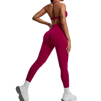 Women Seamless Sling Back Sports Yoga Bra Running Quick Dry Fitness Clothing Pants Set