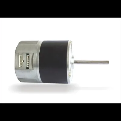 External rotor EC motor Brushless motor EC fan motor Axial fan motor Centrifugal fan motor Centrifugal blower Outer rotor motor