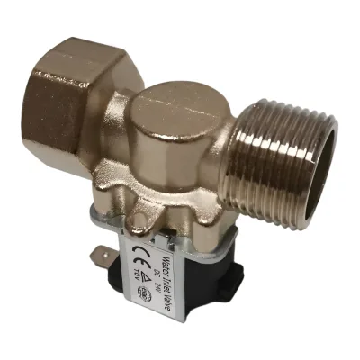 Female Thread G3/4'' Normal Close Brass Valve High Temperature Solenoid Valve for Hor Water (G3/4"*G3/4")