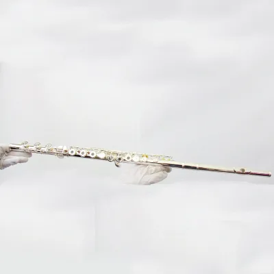 Professional Music Band Woodwind Instrument 17 Open Holes C Tone Solid Sliver Body Sliver Plate Sliver Mechanism Flute