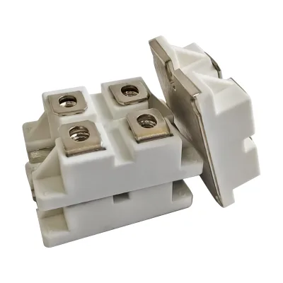 600V 100A SiC Schottky Diode Module Isolation Type Package for Energy Storage and High Power Inverters