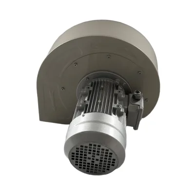 Heavy-Duty Blue Duct Fan with Advanced Copper Motor Design 380V/220V 1 Year Warranty Stainless Steel Construction